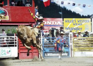 A man riding a bull for sports