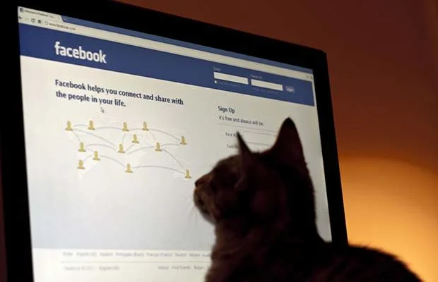 Cat in front of a laptop screen showing Facebook signup page
