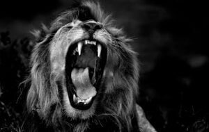 BetMGM Reputation Stays Linked to Entain, LeoVegas
