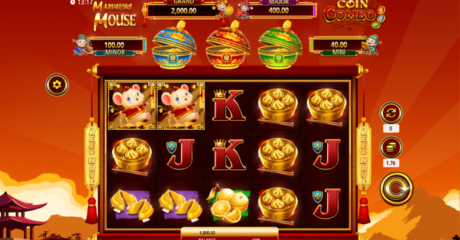 Marvelous Mouse Coin Combo