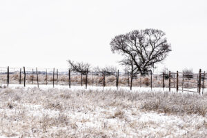 The political forecast in Oklahoma is frosty for the next four years