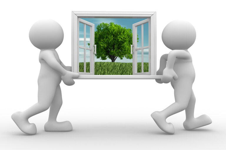 The Overton Window describes what political ideas are acceptable or popular at a given point in time.