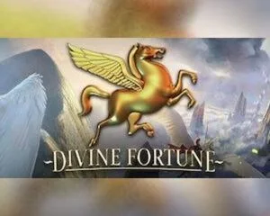 Divine Fortune logo
