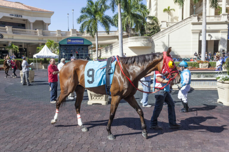 historical-horse-racing-now-in-Everi-toolbox