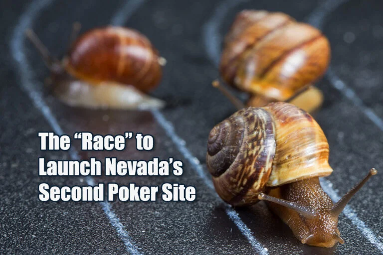 WSOP currently holds a monopoly on Nevada online poker, so why is no one else in a hurry to join the market?
