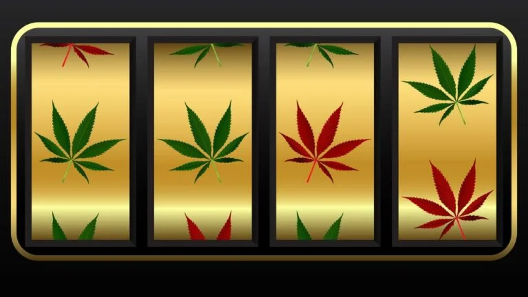 Detroit Cannabis Casino Bringing Cannasino schtick to new locations. Image slot machine with cannabis symbols