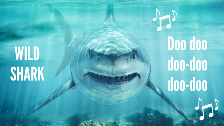 6 Wild Sharks is one of several new titles 4ThePlayer plans to release now that it has its full Michigan license.