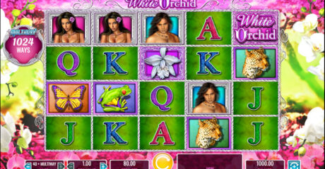 White Orchid Slot