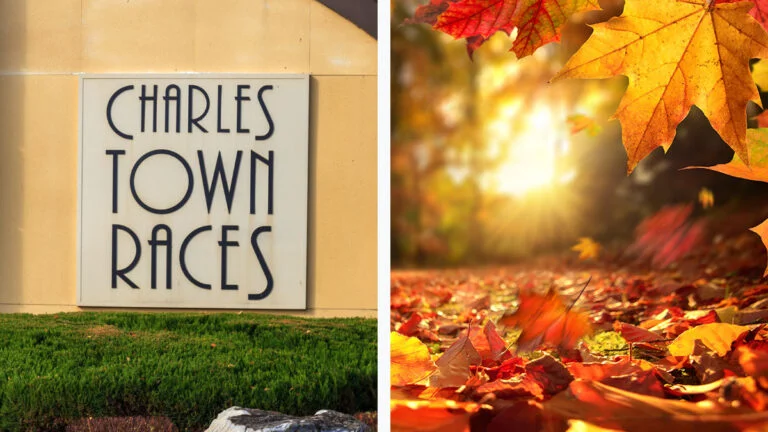 Charles Town Races looks to be reclaiming market leadership in West Virginia as fall revenue surges.
