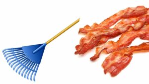 Rakin' Bacon