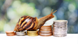 Evolution's North American revenue has been growing, but not as fast as the market it serves.