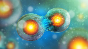 Delaware is considering splitting up its online gambling monopoly; cellular mitosis as a visual metaphor for division.