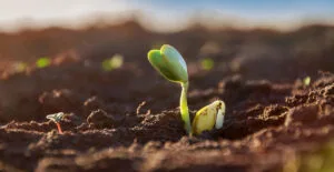 Though still in its infancy, Jackpocket Casino has found fertile soil in New Jersey and shows the potential for growth.