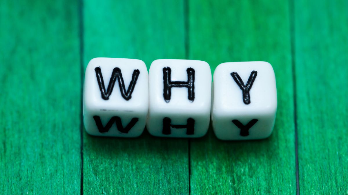 a recent study found that slot and casino players are more likely to use gambling to cope with reality than those who play instant lottery. 