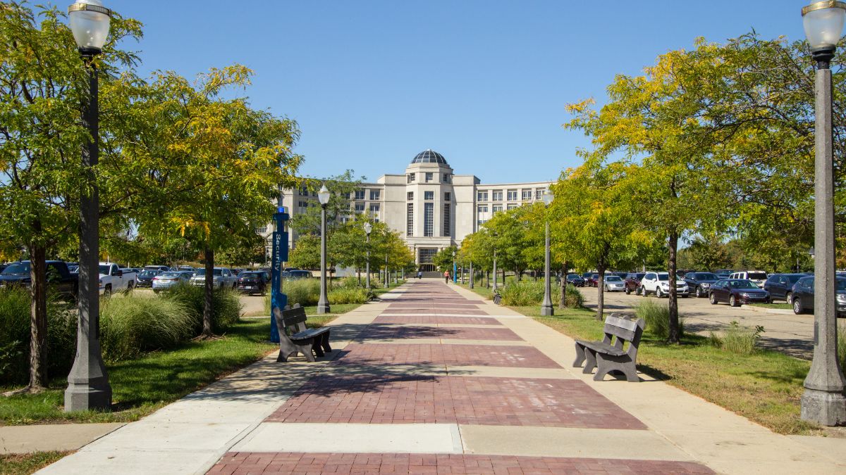 MICHIGAN icon