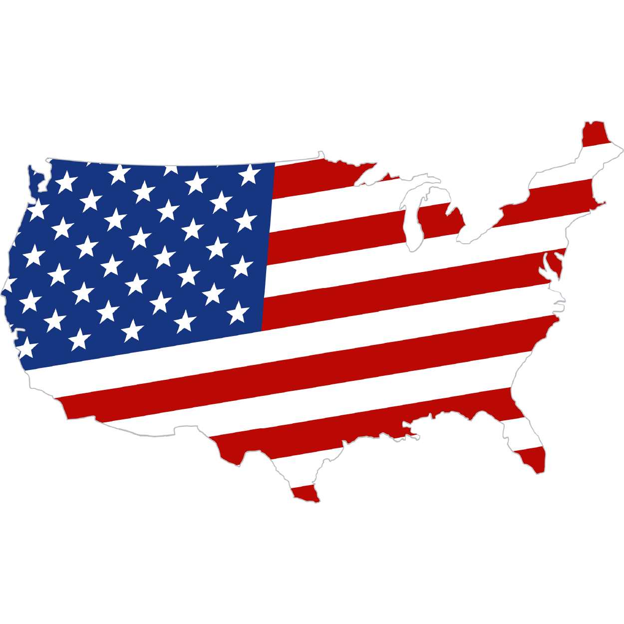USA Map Icon icon