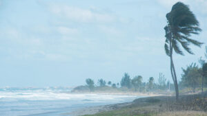 Hurricane Milton pounded the Florida coast in October 2024.