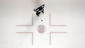 Inspired Entertainment has struck a branding deal with the NHL for use in its virtual sports products.