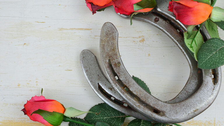Two horseshoes on a table with roses