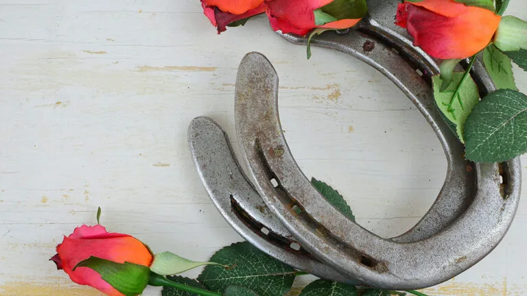 Two horseshoes on a table with roses