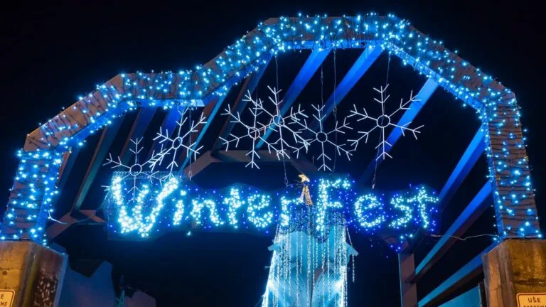 the word winterfest in christmas lights
