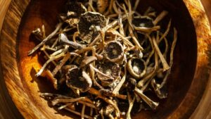 Close up of dried psilocybin aka "magic"'mushrooms in wooden bowl