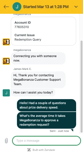 MegaBonanza Live Chat Example