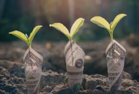 Close up photo of new seedlings sprouting from soil wrapped in American one dollar bills.