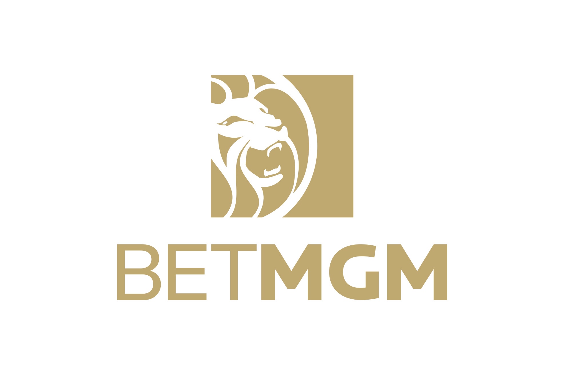 BetMGM Casino icon