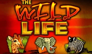 The Wild Life logo