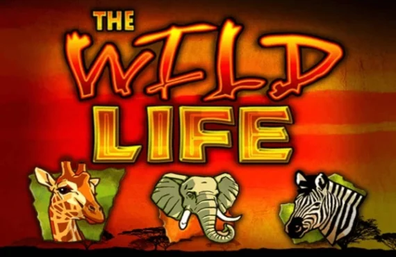 The Wild Life logo