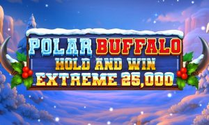 Polar-Buffalo-Extreme-Hold