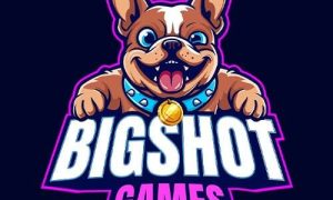 Big Shot Games