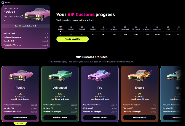 VIP Loyalty Program for sweepico - Your VIP Customs progress. Rookie, Advanced, Pro, Expert