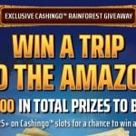 DraftKings Cashingo rainforest giveaway