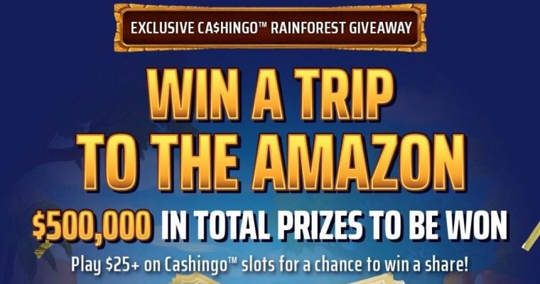 DraftKings Cashingo rainforest giveaway