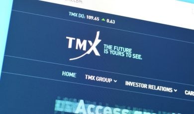 Homepage of tmx website on the display of PC, url - tmx.com.