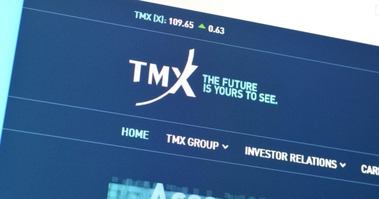 Homepage of tmx website on the display of PC, url - tmx.com.